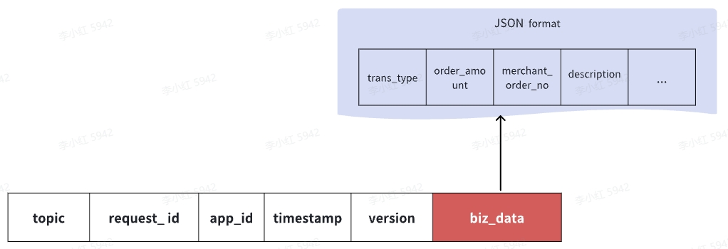 Cross terminal application integration, WLAN/LAN mode integration input parameter structure diagram